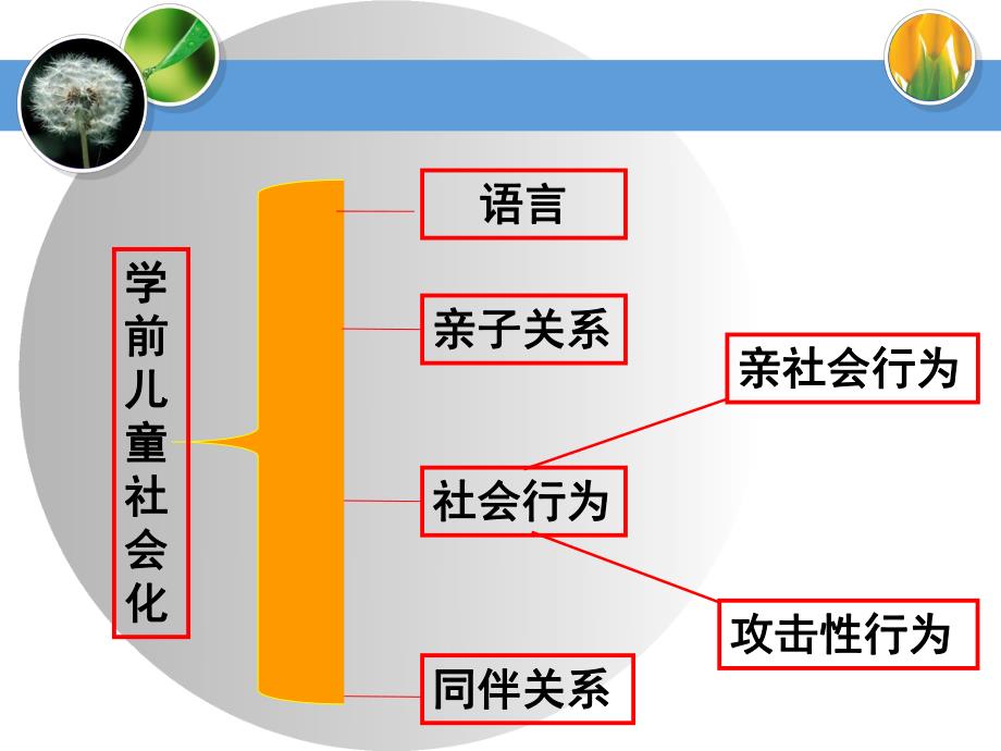 幼儿园学前儿童社会化PPT课件学前儿童社会化.ppt_第3页