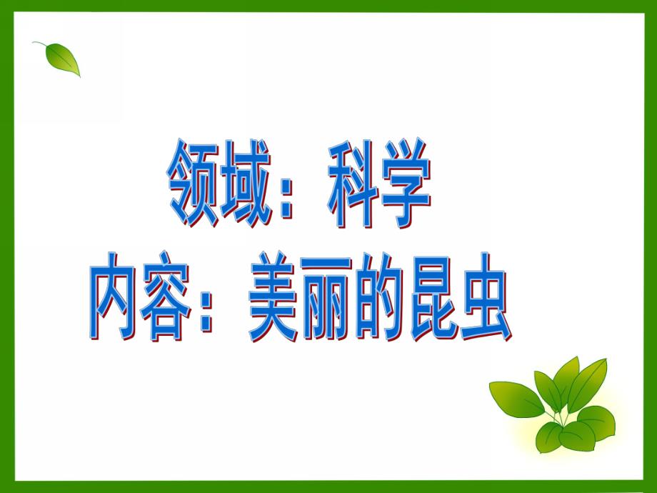 大班科学《美丽的昆虫》PPT课件大班科学：美丽的昆虫.ppt_第1页