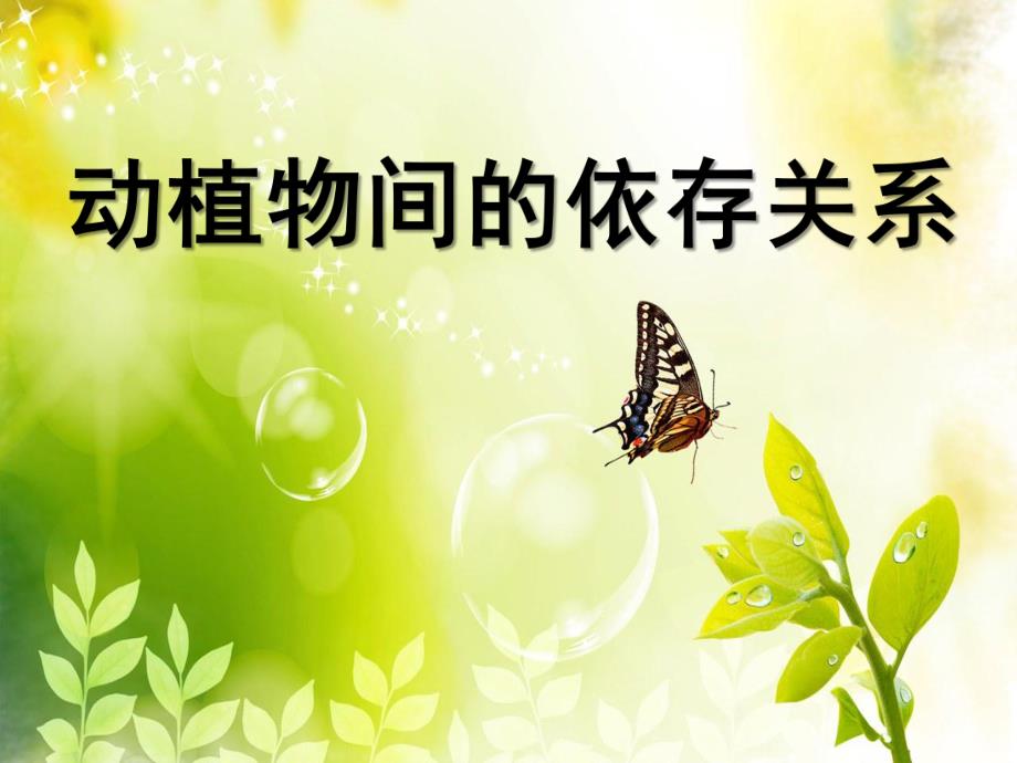 大班语言《动植物间的依存关系》PPT课件动物间的依存关系.ppt_第1页