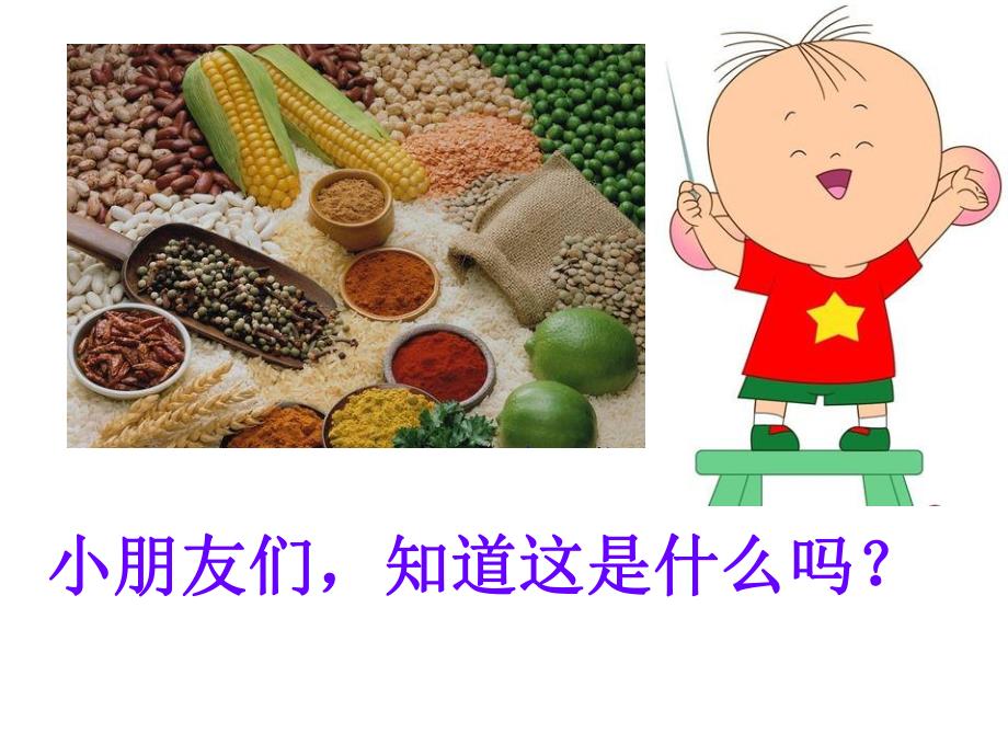 大班健康《粗粮小吃店》PPT课件教案粗粮小吃店.ppt_第3页