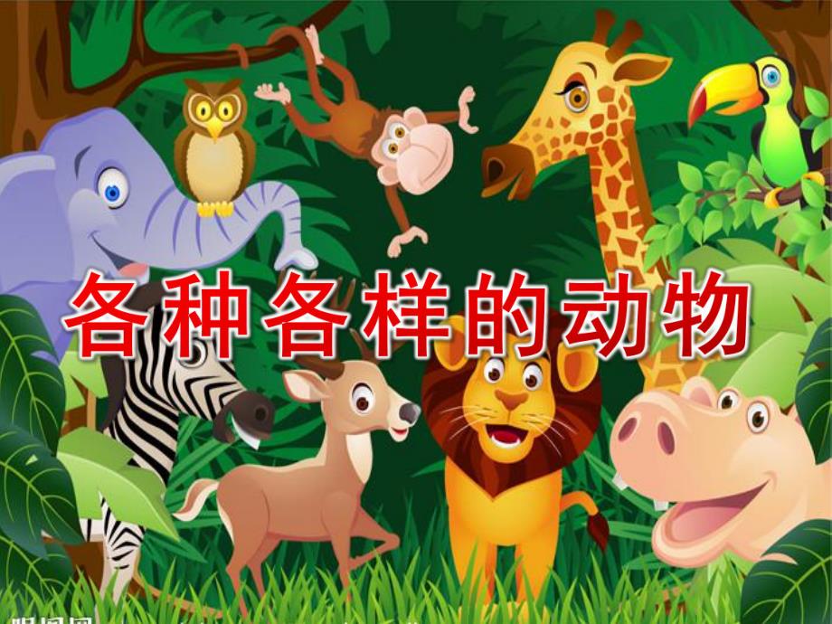 幼儿园《各种各样的动物》PPT课件各种各样的动物.ppt_第1页