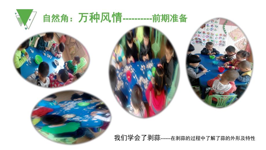 幼儿园小班自然角区域介绍PPT课件小班自然角区域介绍.ppt_第2页