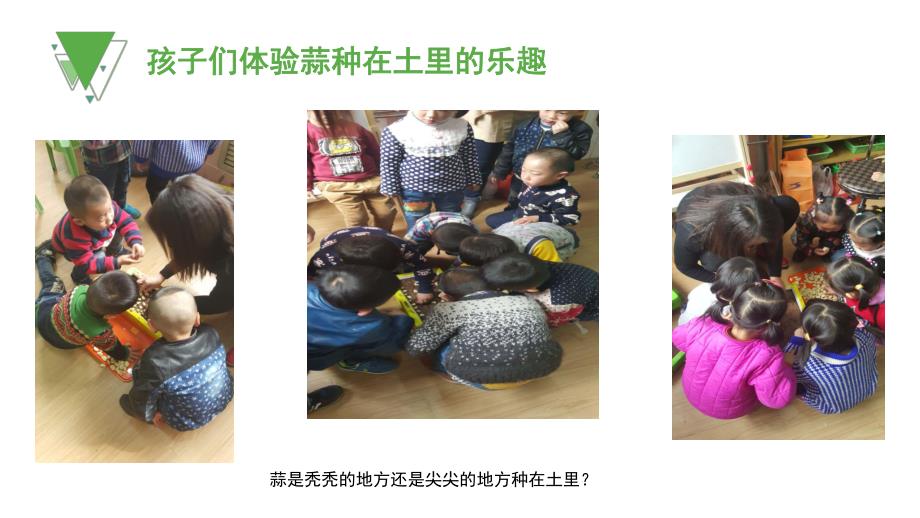 幼儿园小班自然角区域介绍PPT课件小班自然角区域介绍.ppt_第3页