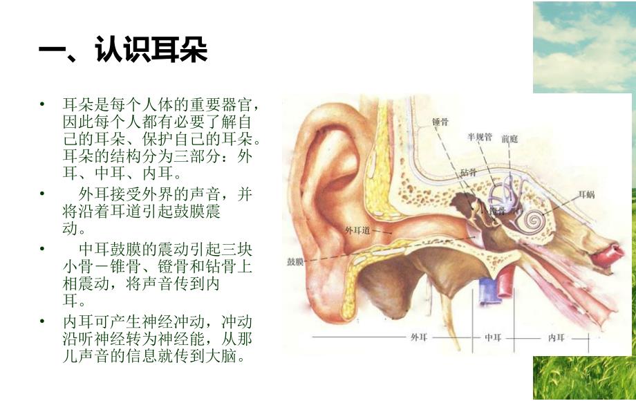 大班健康《爱耳日》PPT课件爱耳日幼儿园教育活动教案PPT.ppt_第3页