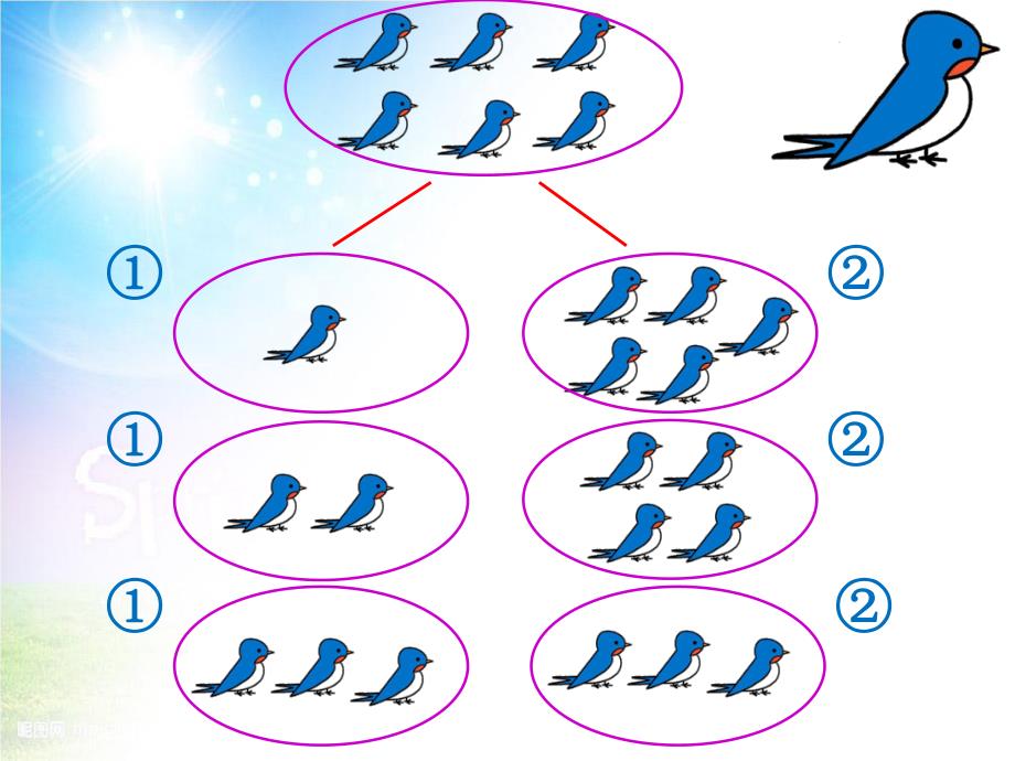 大班数学《小鸟分窝》PPT课件教案小鸟分窝课件.ppt_第2页