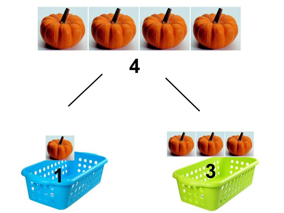 大班数学《分南瓜》PPT课件教案大班数学：分南瓜.ppt_第3页