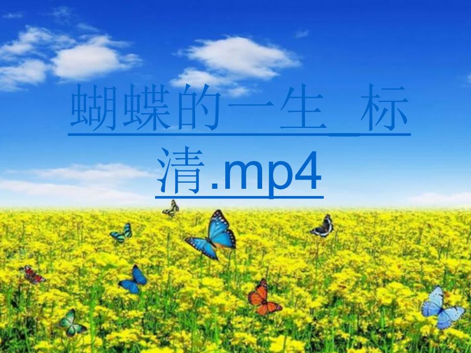 大班科学《蝴蝶的一生》PPT课件教案大班科学蝴蝶的一生.ppt_第3页