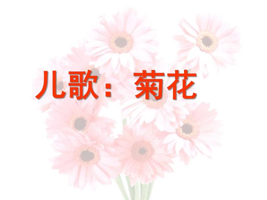 大班儿歌《菊花》PPT课件儿歌：菊花.ppt_第1页