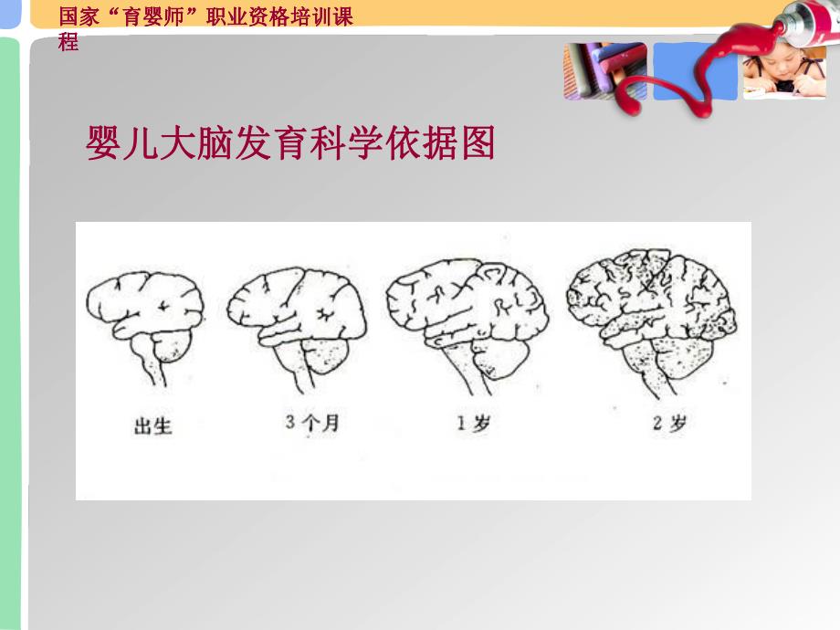 早期教育的重要性及误区PPT课件早期教育重要性·.ppt_第3页