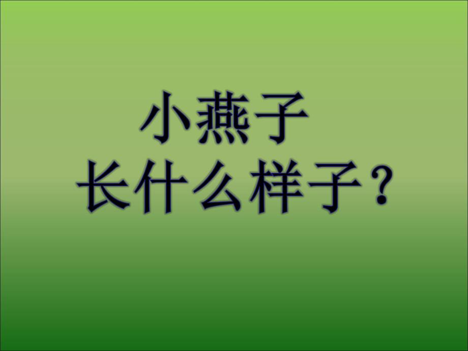 中班科学活动《小燕子回来了》PPT课件教案小燕子回来了.pptx_第3页