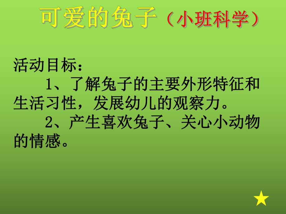 小班科学公开课《可爱的兔子》PPT课件教案可爱的兔子ppt课件.pptx_第2页