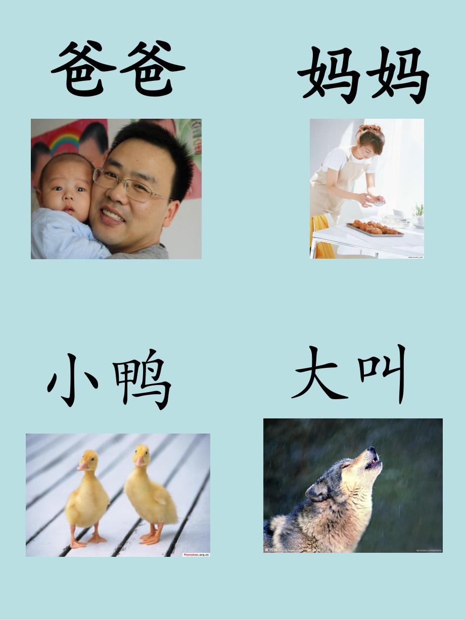 小班《右脑识字》PPT课件小班右脑识字.pptx_第2页