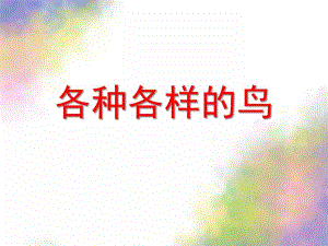大班科学《各种各样的鸟》PPT课件教案各种各样的鸟.pptx