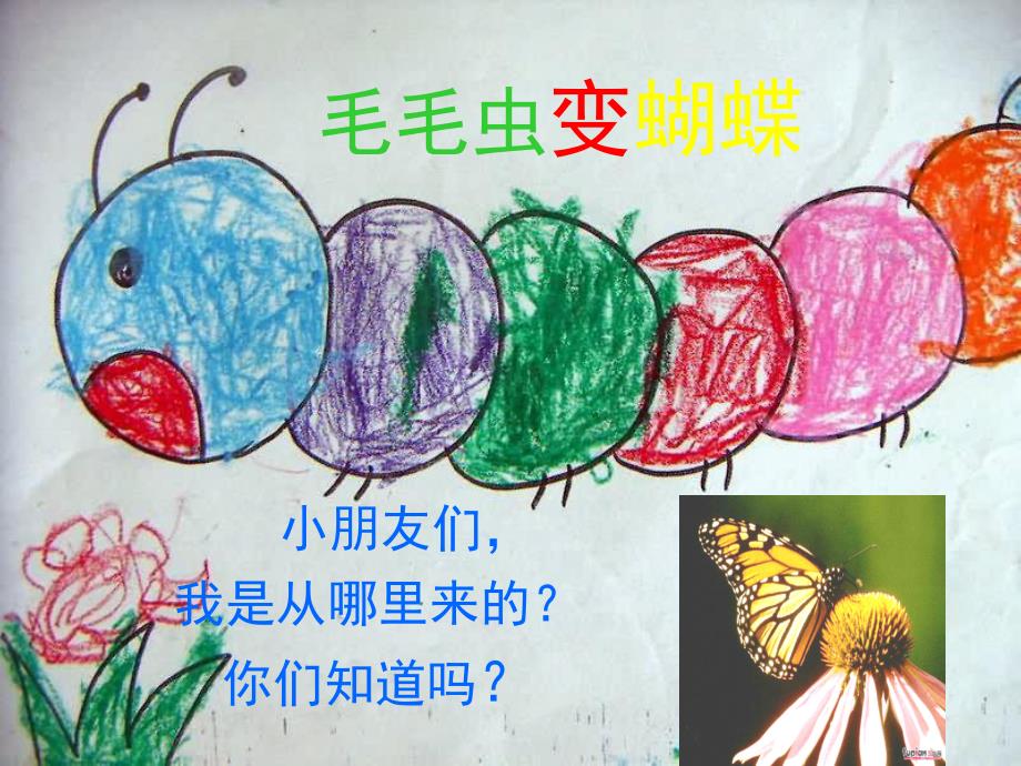 幼儿园活动《毛毛虫变蝴蝶》PPT课件教案毛毛虫变蝴蝶课件.pptx_第3页