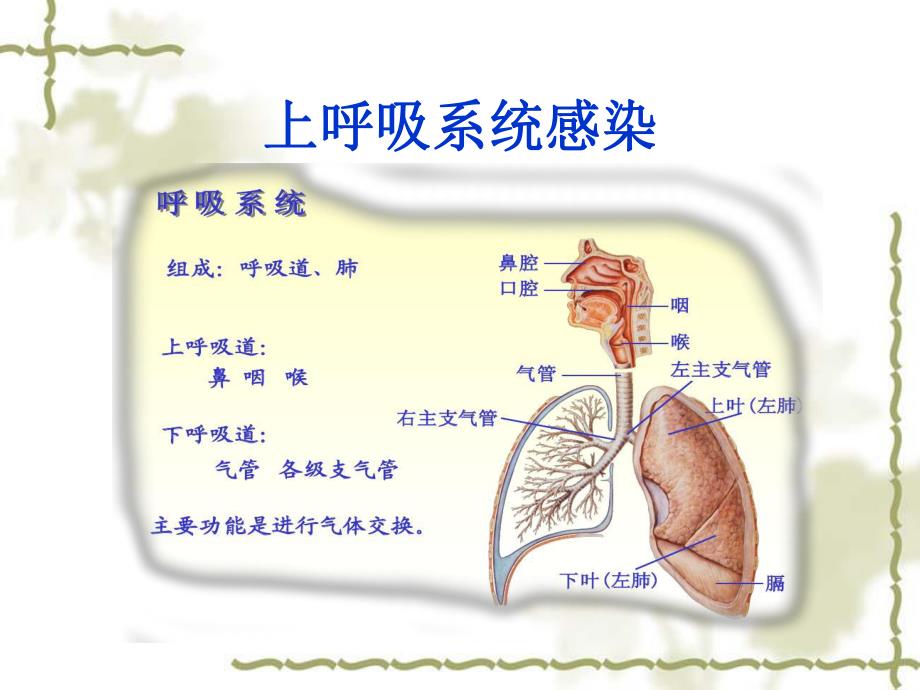 幼儿园常见的传染病PPT课件幼儿园常见传染病---课件.pptx_第2页