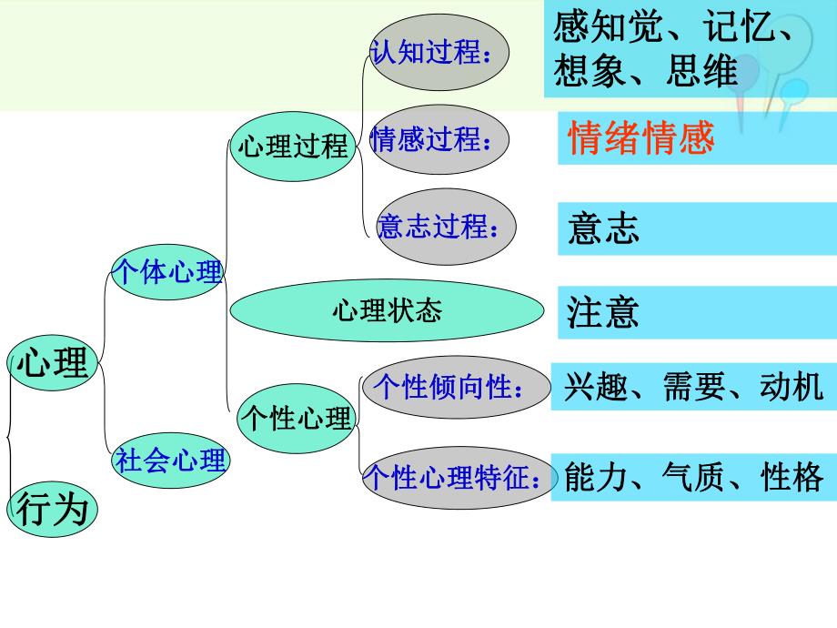 幼儿园学前儿童情绪情感的发展PPT课件第十二章-学前儿童情绪情感的发展.ppt_第2页