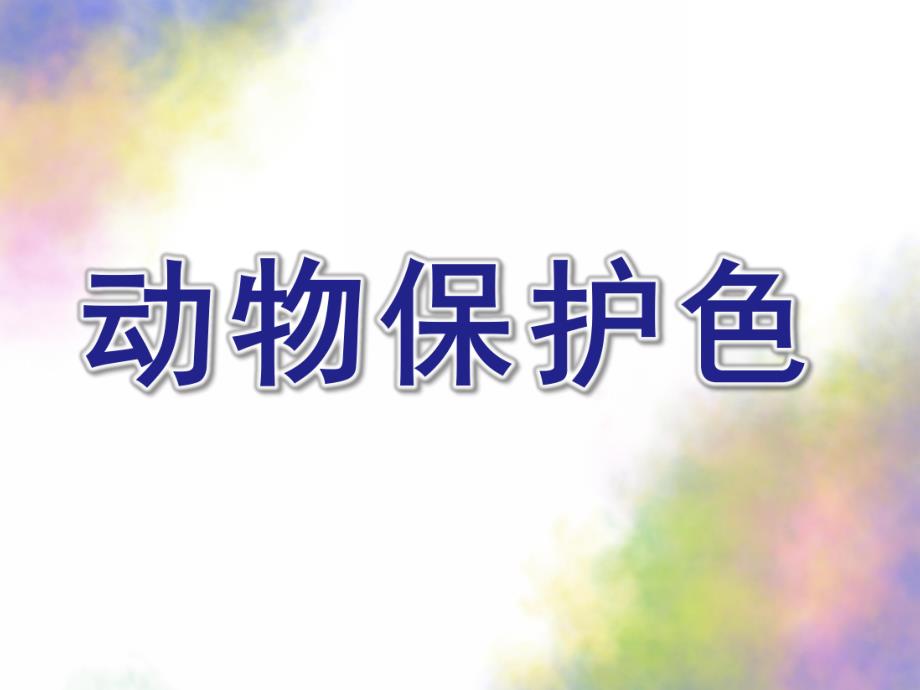 大班科学公开课《动物保护色》PPT课件教案动物保护色.pptx_第1页