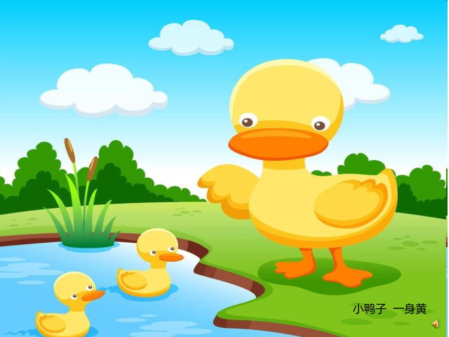 幼儿园动物儿歌《小鸭子》PPT课件配音音乐PPT课件.ppt_第3页