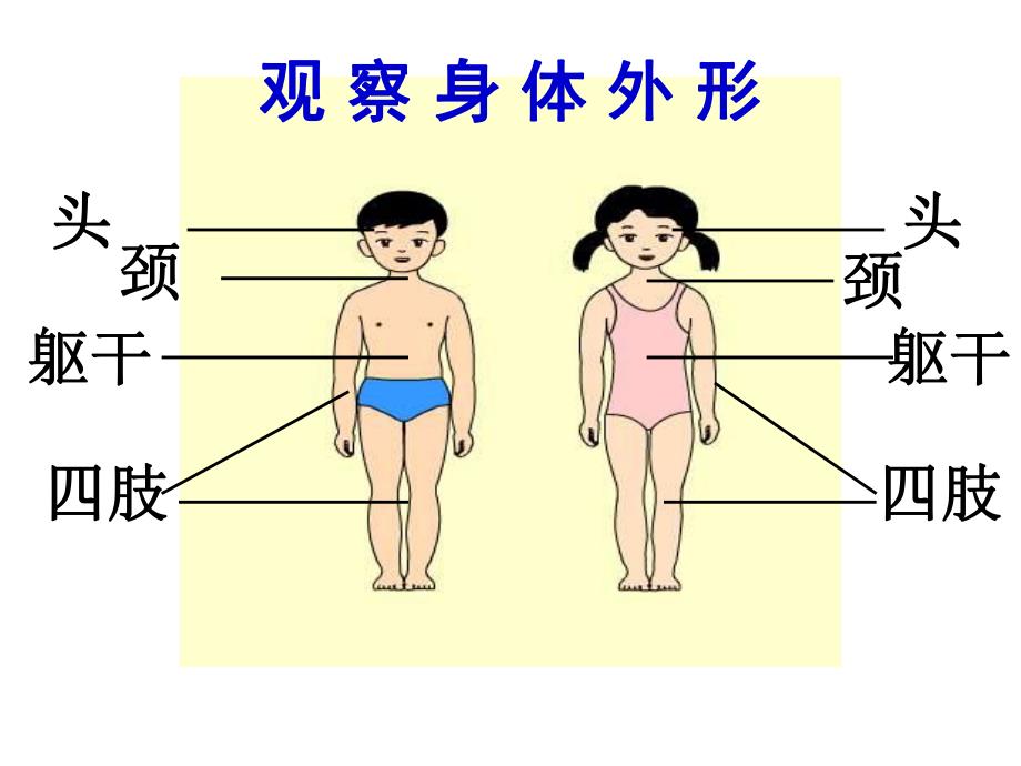 幼儿园《保护我们的身体》PPT课件教案PPT课件.ppt_第3页