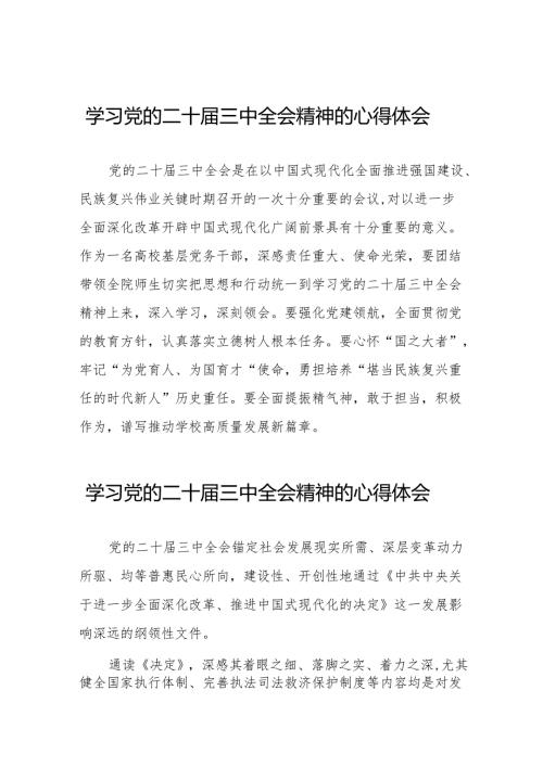 学习党的二十届三中全会精神的心得感悟交流发言38篇.docx